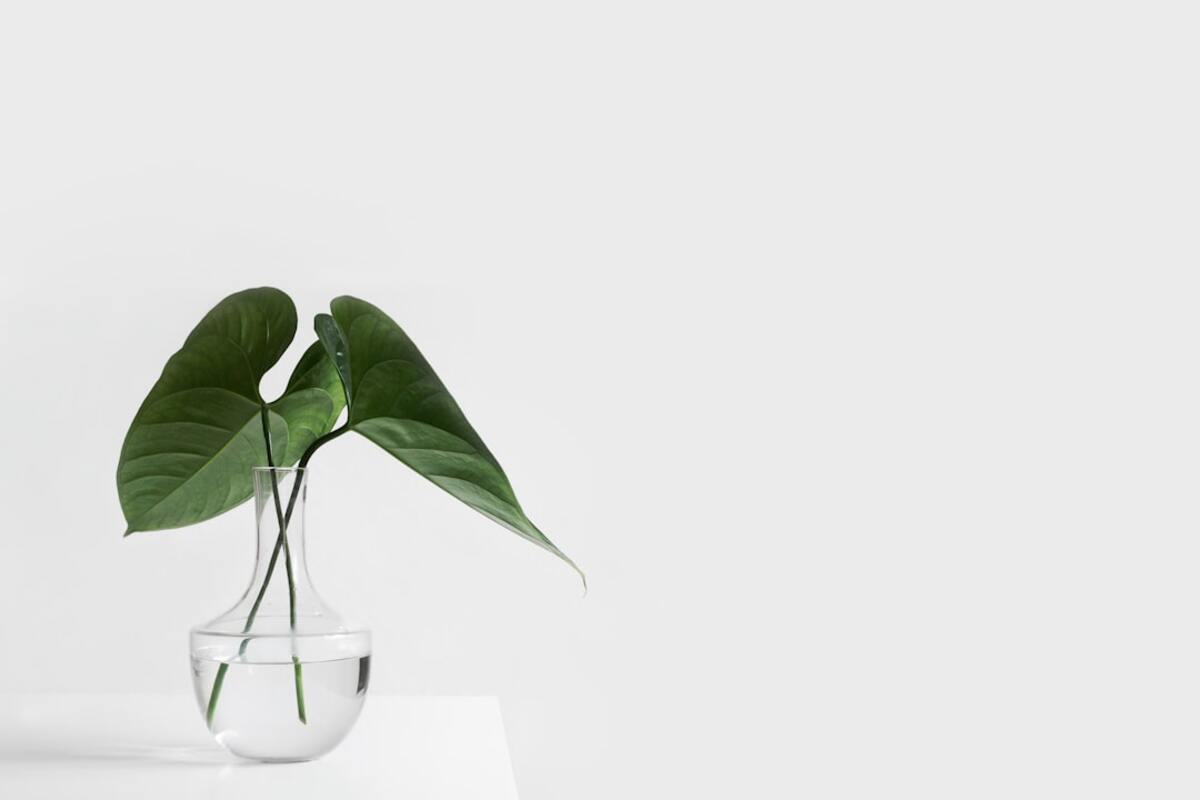 The Rise of Biophilic Design: Transforming Spaces for Wellness